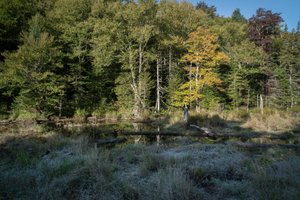 September frost in Green Mountain pond