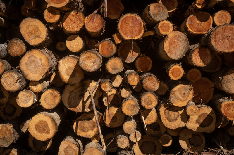 Lumber, probably tamarack, Douglas fir or pine.