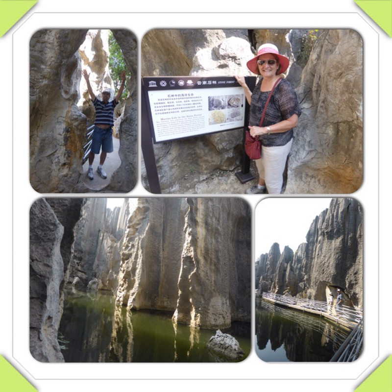 Many faces of Stone Forest
