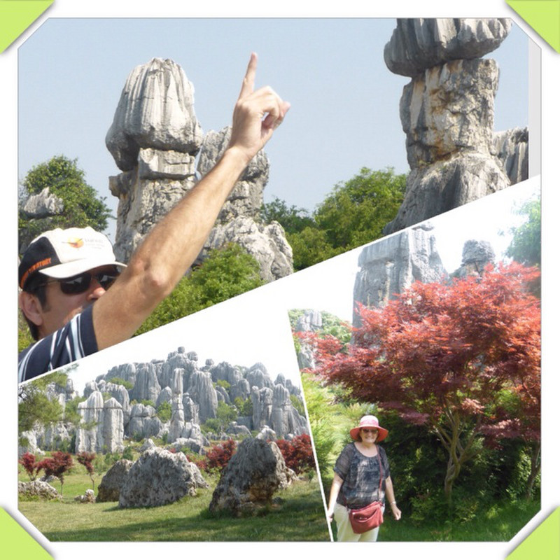 The Small Stone Forest