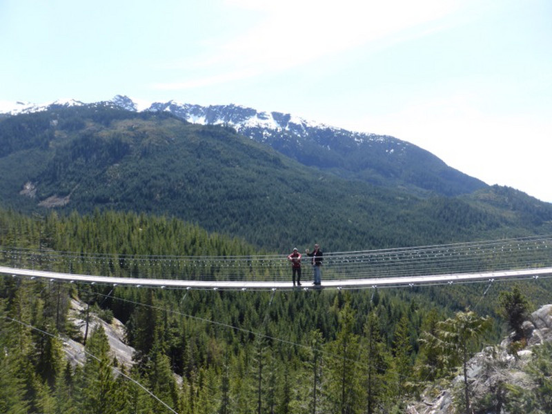 The suspension bridge - 100 metres