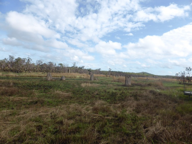 Floodplain with magnetic termite mound
