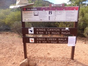 A parting of the ways at Kings canyon