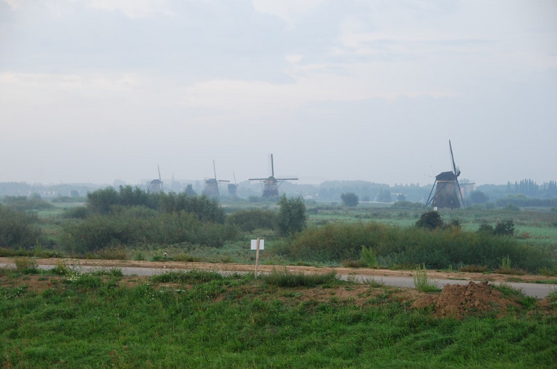 Windmills in the morning mist