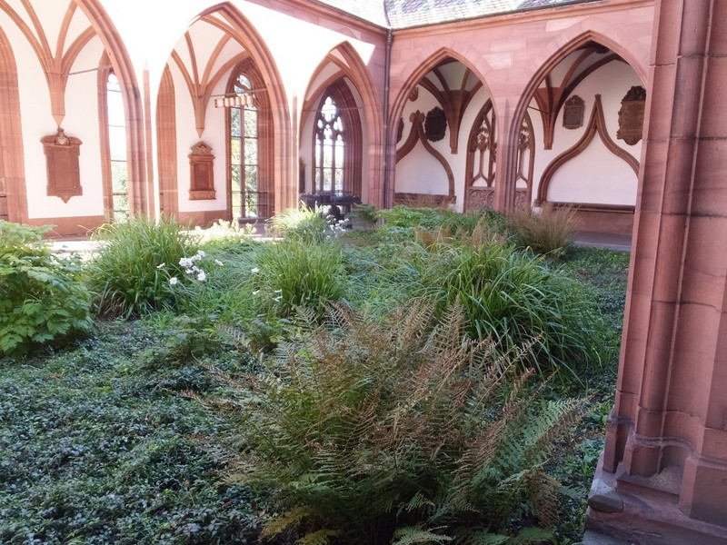 The cloister of the church