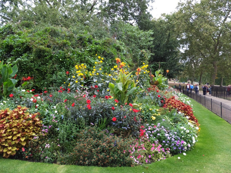 Flowers in St. James Park