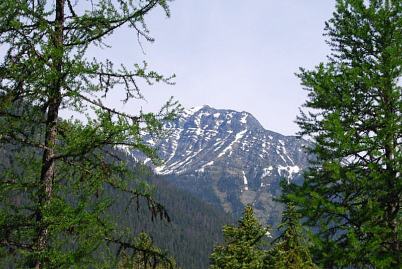 mountain in Glacier National Park