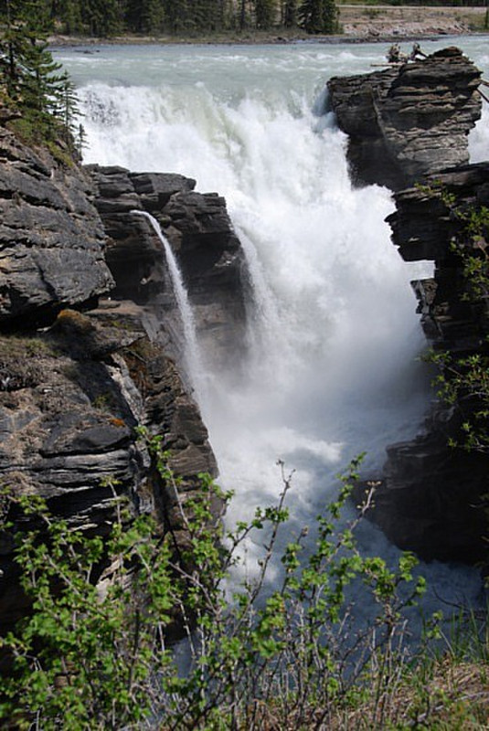 Athbasca Falls
