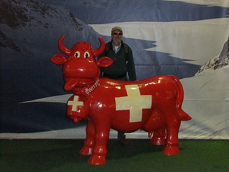 Me and the Swiss cow