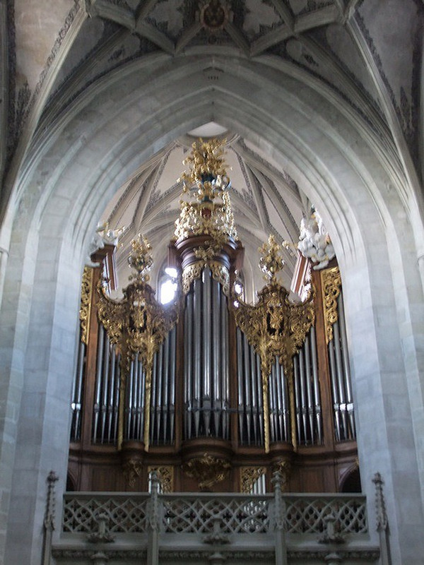 The largest pipe organ we have ever seen