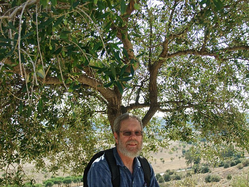 Me under an olive tree
