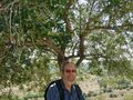 Me under an olive tree