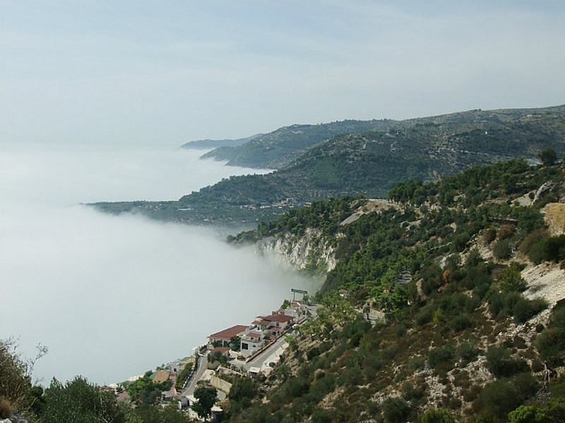 The fog along the coast