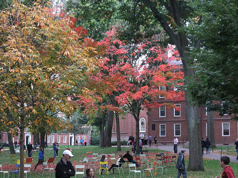 Harvard common area.
