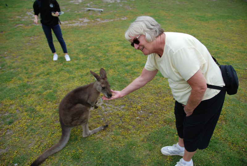 Stacy feeding a Wallaby