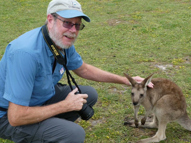 Me petting a Wallaby