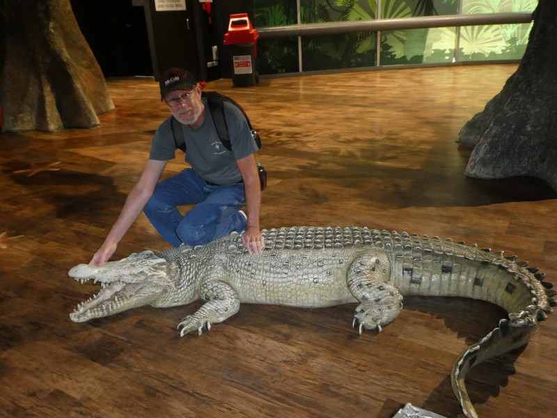 Crocodile at the aquarium