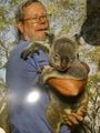 Holding a Koala