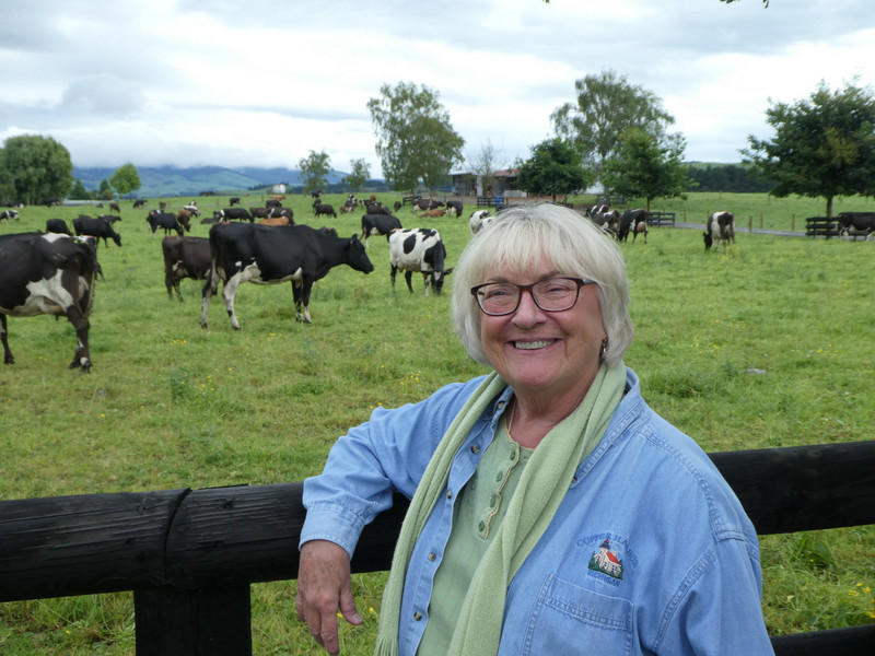 Stacy by the cows