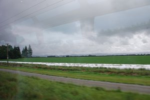 fields from the train