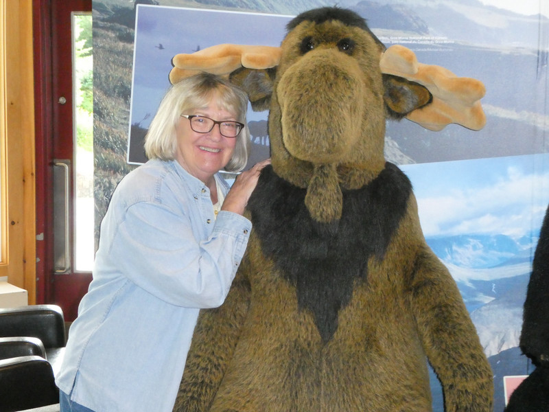 Stacy and the only moose we've seen so far