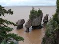 Hopewell Rocks at close to high tide