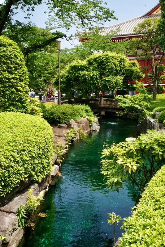 Senso-Ji Temple gardens