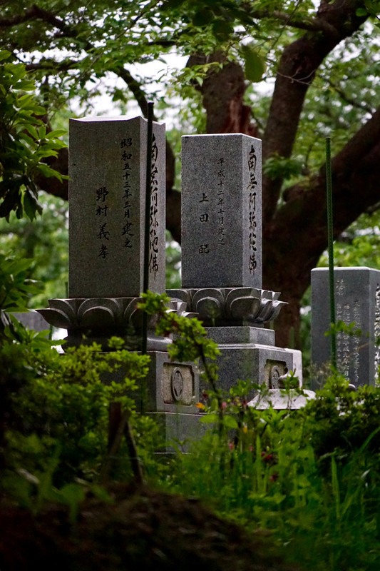 Headstones, Mount Utatsu