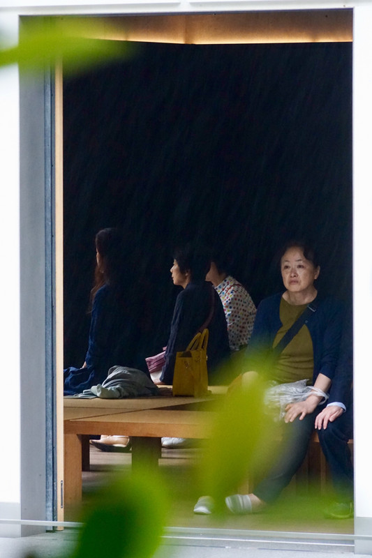 Contemplation, D T Suzuki Museum