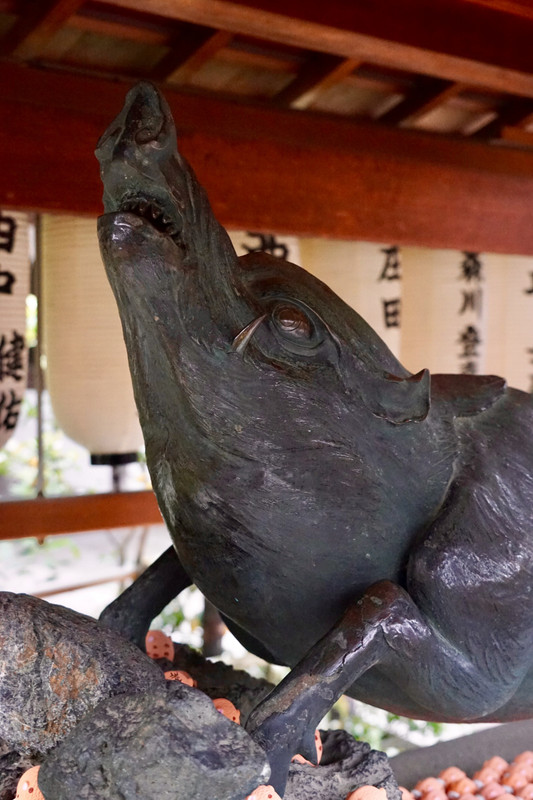 Wild boar statue at a temple in the Gion District, Kyoto
