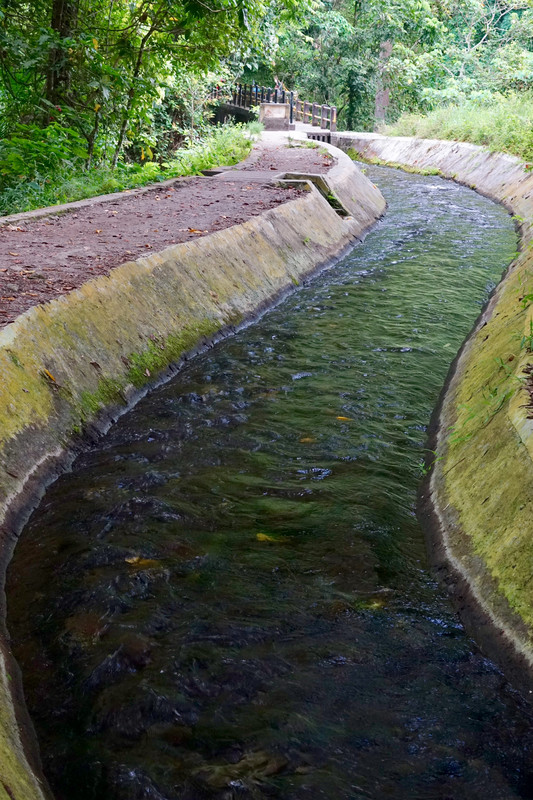 Irrigation channel, Senaru waterfalls