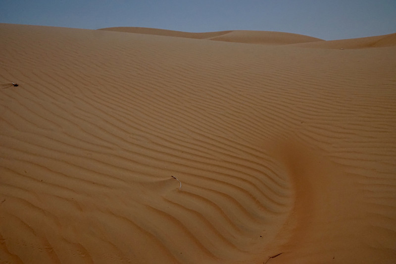 Dunes, Wahiba Sands