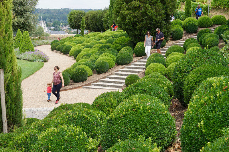 Gardens, Chateau d’Amboise