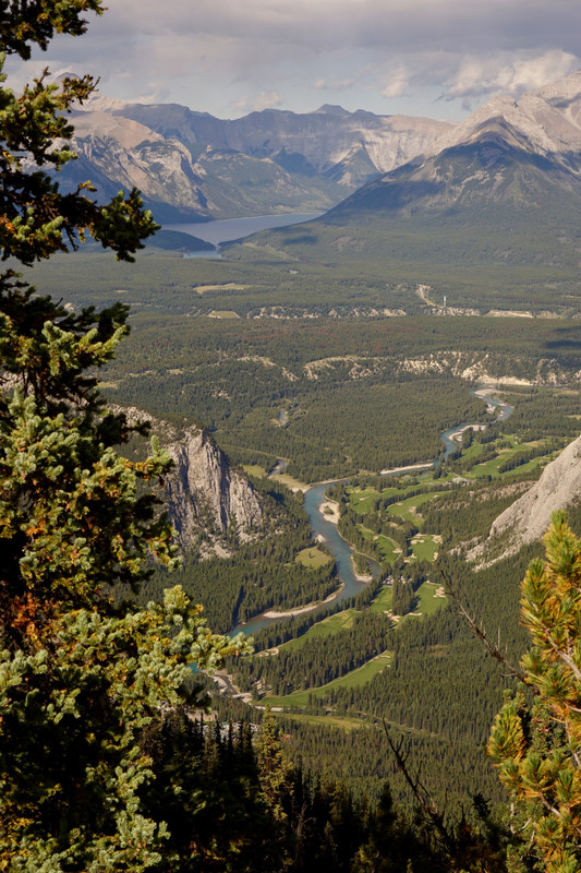 Bow River Valley from Sulphur Mountain