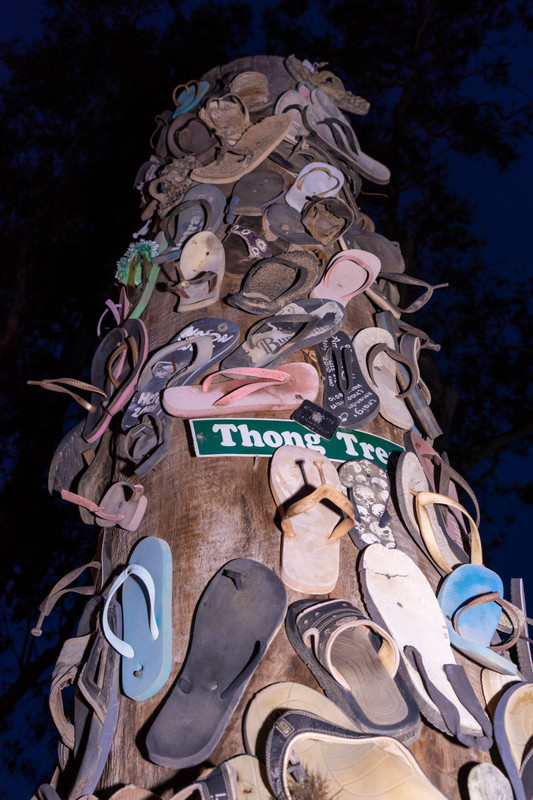 The "Thong Tree", Echuca waterfront