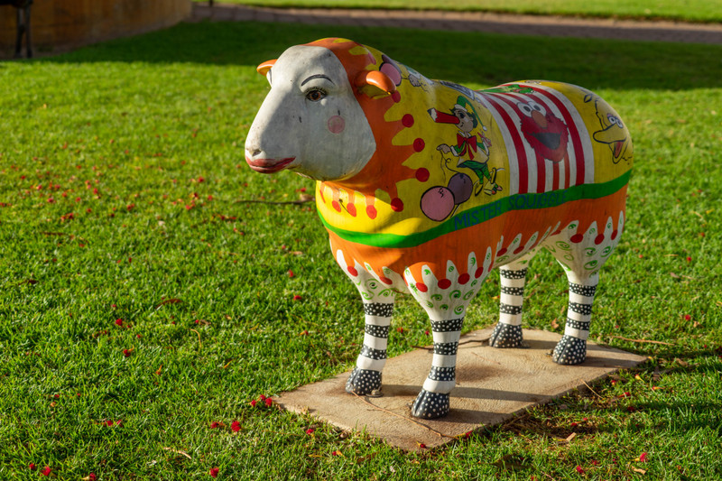 Colourful sheep, Kaniva