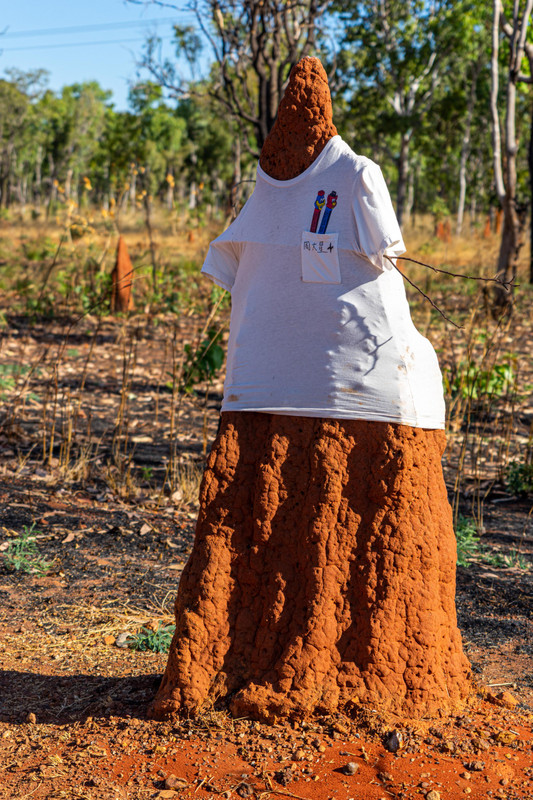 T-shirt clad termite mound