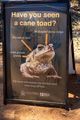 The curse of the cane toad