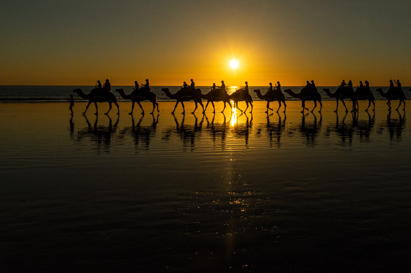 Camel riding, Cable Beach