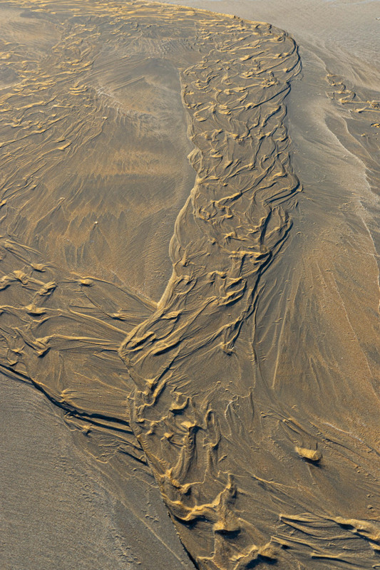 Patterns in the sand, Cable Beach
