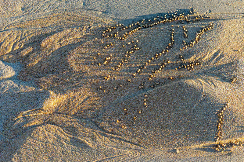 Patterns in the sand, Cable Beach