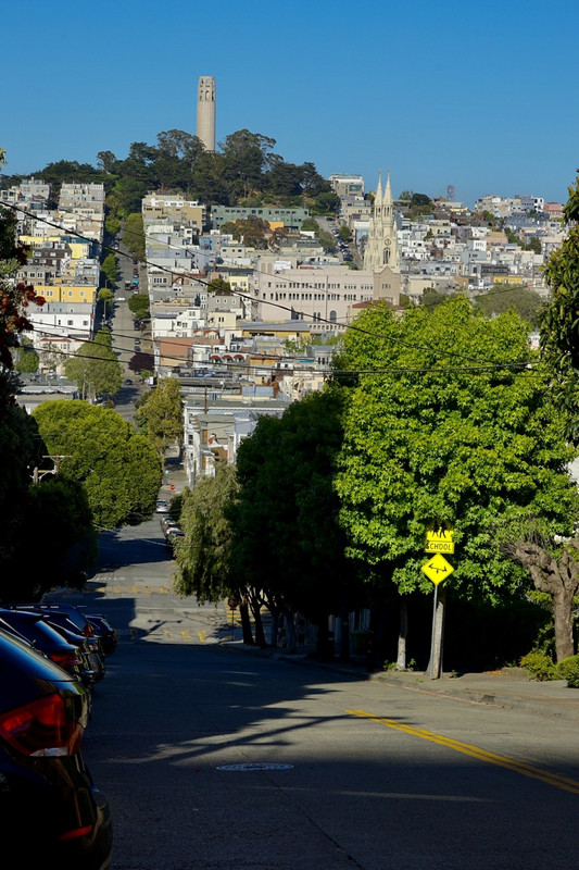Telegraph Hill and Coit Tower