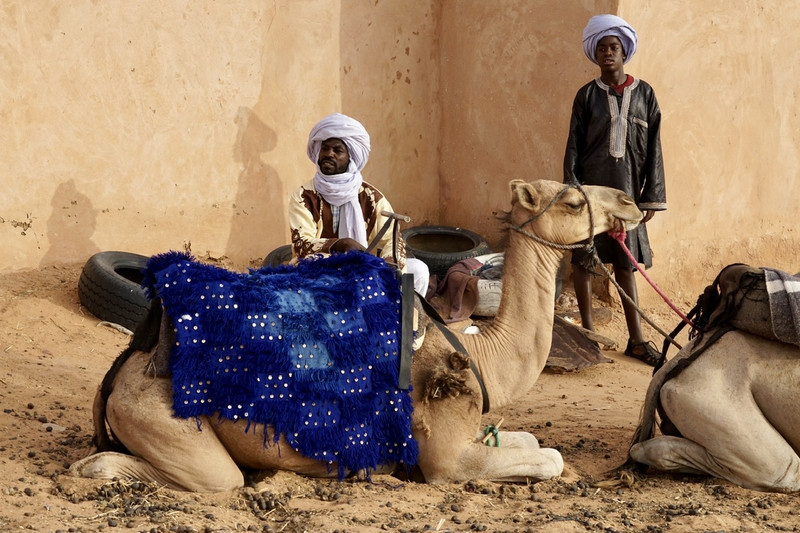 Camel drivers