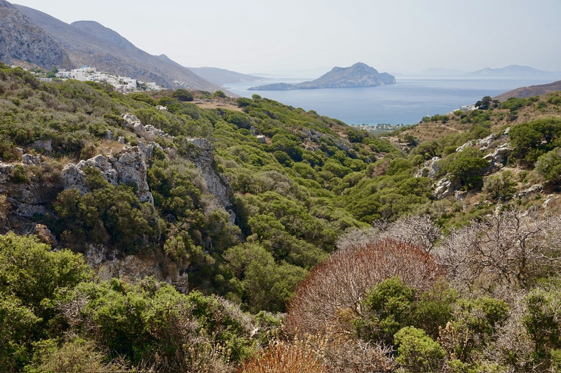 View towards Aegiali