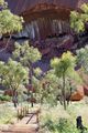 Cave, Uluṟu base walk