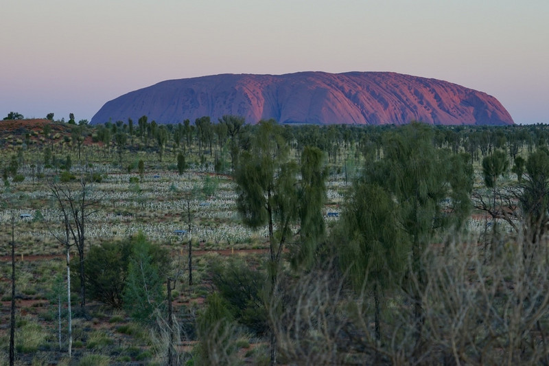 Uluṟu and the Field of Light