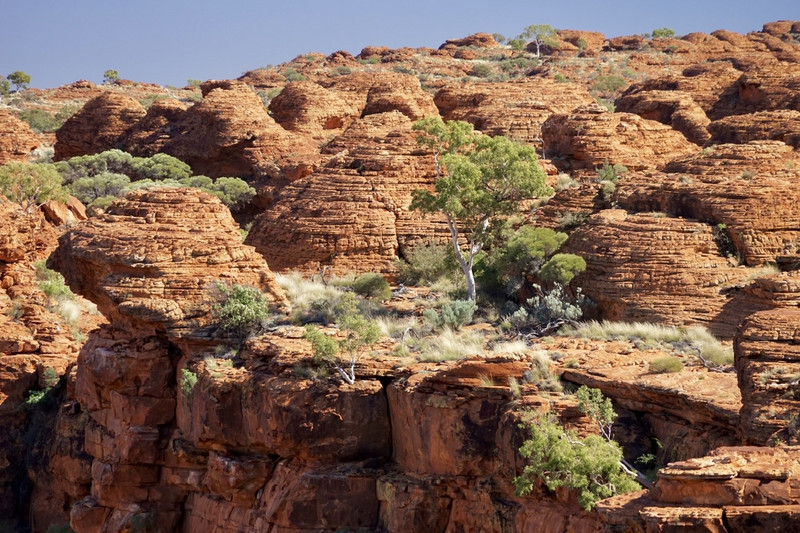 The Lost City, Kings Canyon