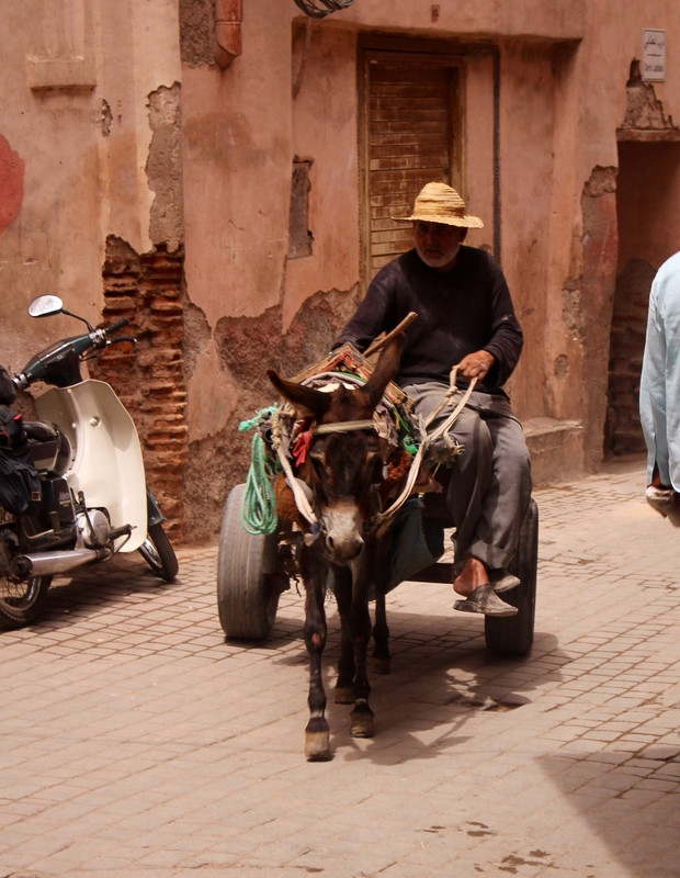 Donkey cart in the Medina