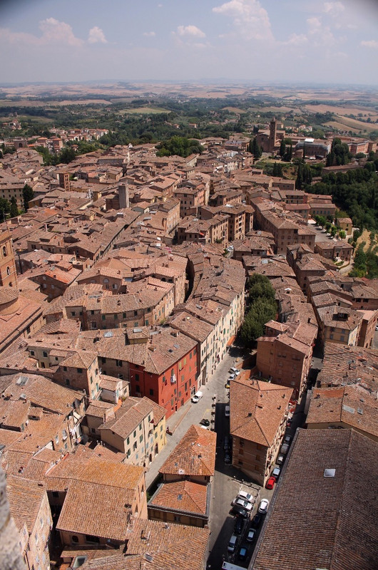 View from Mangia Tower, Siena