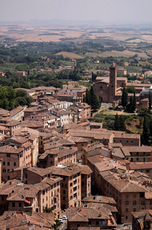 View from Mangia Tower, Siena